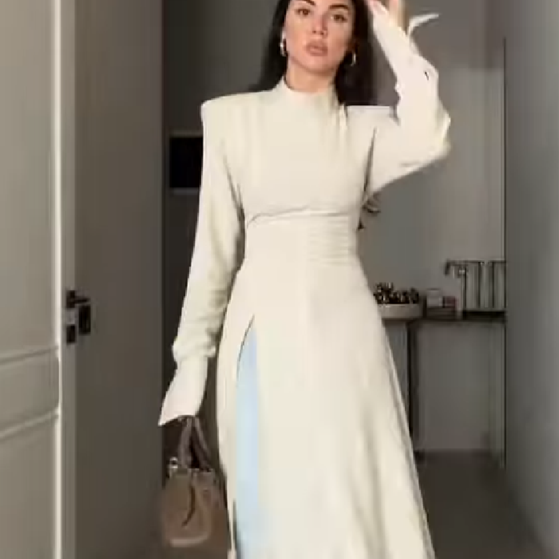 Female Formal Wear - 여성 우아한 하이넥 긴팔 맥시 드레스